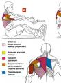 Тяга блока к поясу сидя: варианты и порядок выполнения упражнения Горизонтальная тяга к поясу сидя